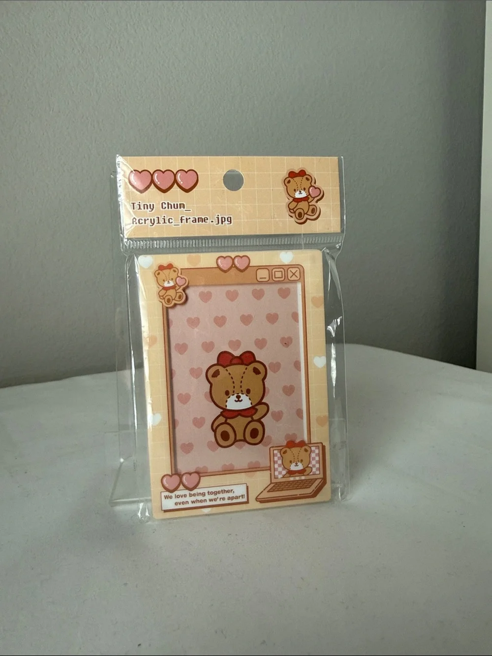 Sanrio Tiny Chum Retro Kawaii Acrylic Frame
